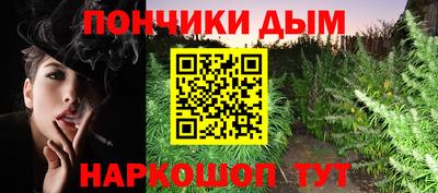 альфа пвп Новодвинск