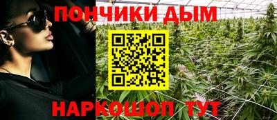альфа пвп Новодвинск