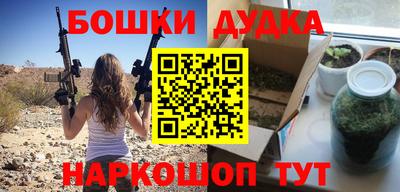 альфа пвп Новодвинск