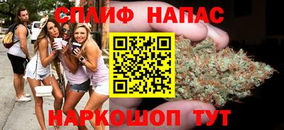 гидропоника Новокубанск
