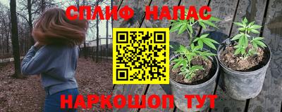 альфа пвп Новодвинск