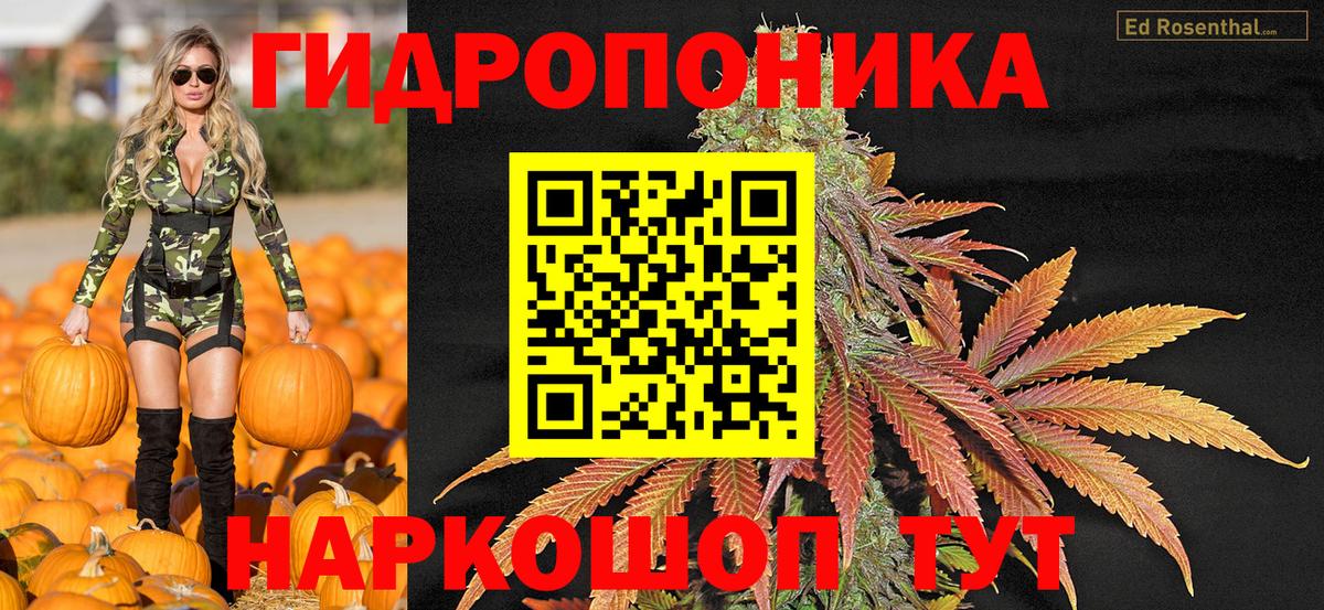 МАРИХУАНА SATIVA & INDICA  Вход с VPN  Канабис OG Kush  Соликамск 